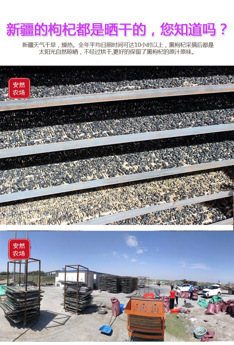 黑枸杞13.jpg